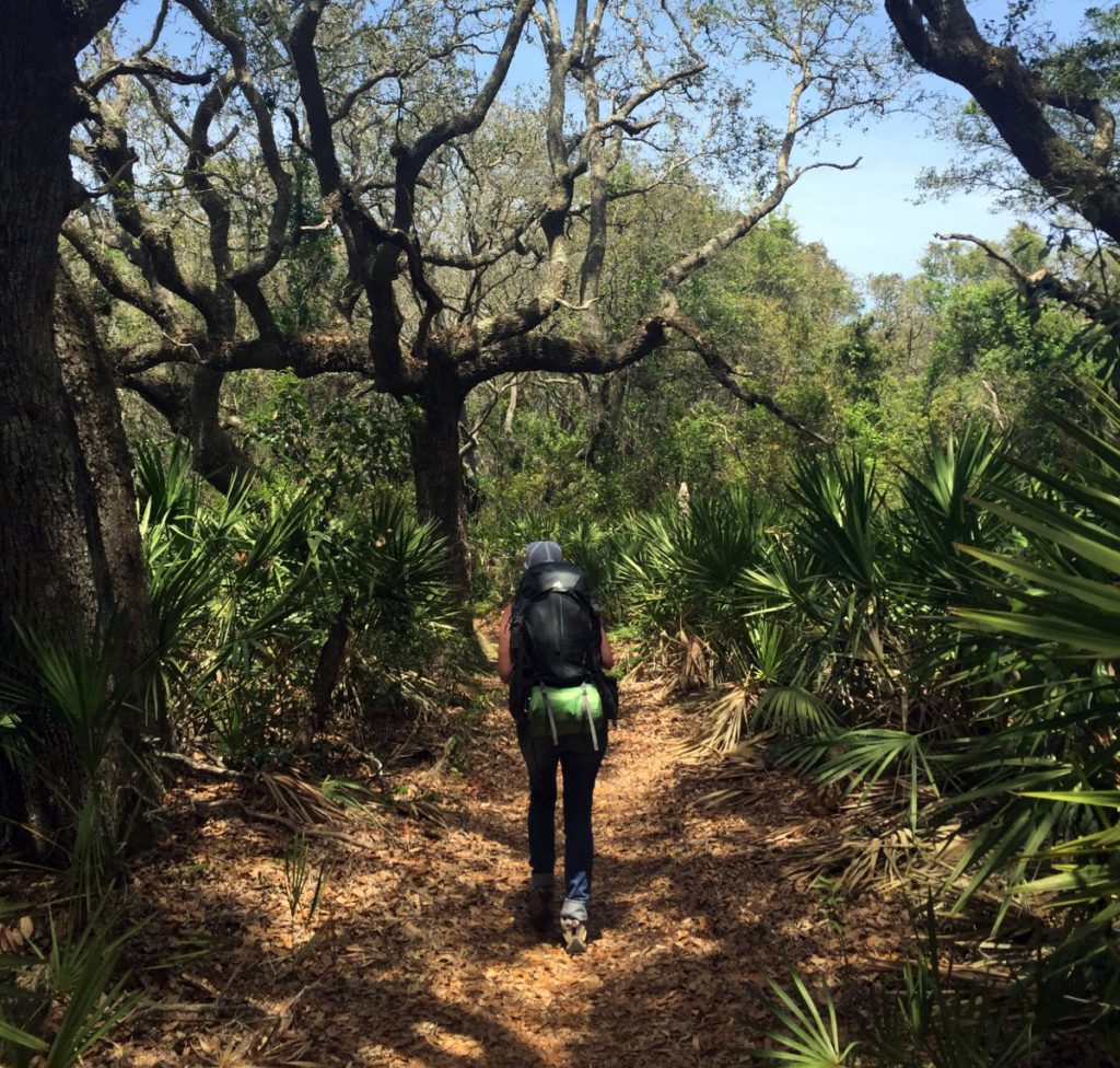 Backpacking Cumberland Island National Seashore – Tales of a vanlife couple